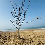 Appartamento Avec Grande Terrasse à 300 M De La Cabourg