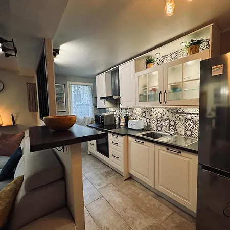 Apartment Grande Terrasse 300m Parking Prive 4 Pers *