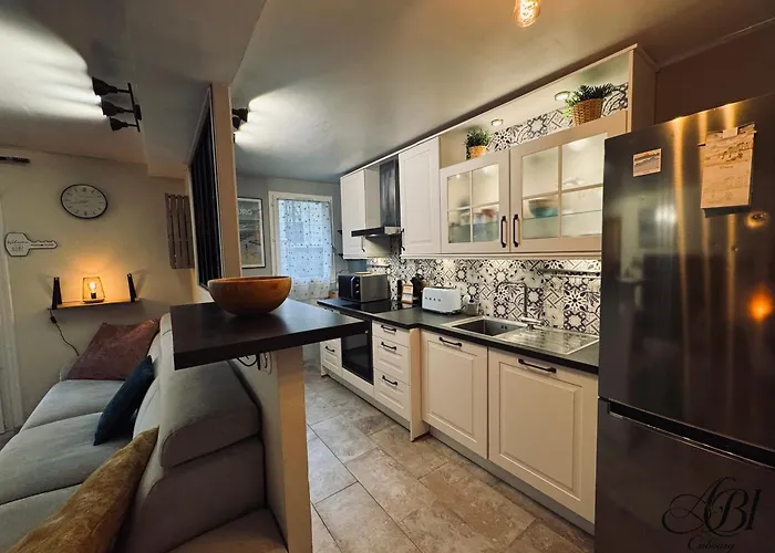 Apartment Grande Terrasse 300m Parking Prive 4 Pers *