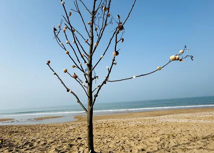 Apartment Grande Terrasse 300m Parking Prive 4 Pers Cabourg